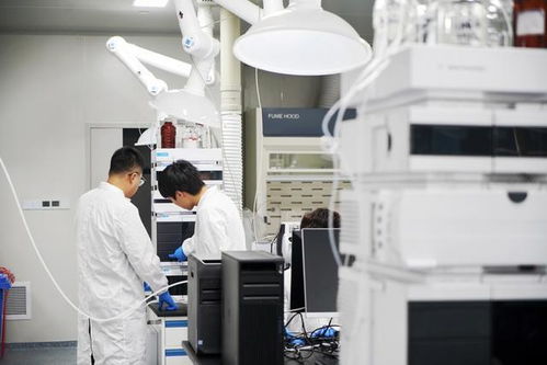 樣機變產(chǎn)品,上海服務(wù)機構(gòu)走通 概念驗證 科技服務(wù)如何按下快進鍵 下